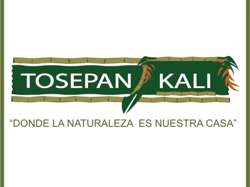 Tosepan Kali